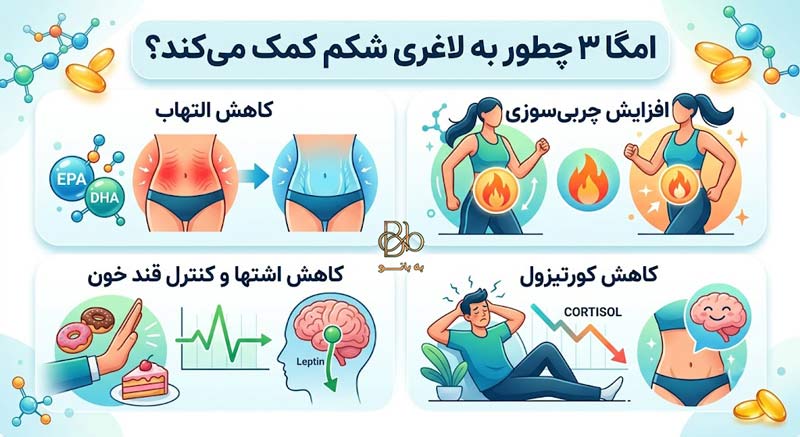 امگا ۳ چطور به لاغری شکم کمک می‌کند؟